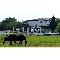 Avontuur Estate image